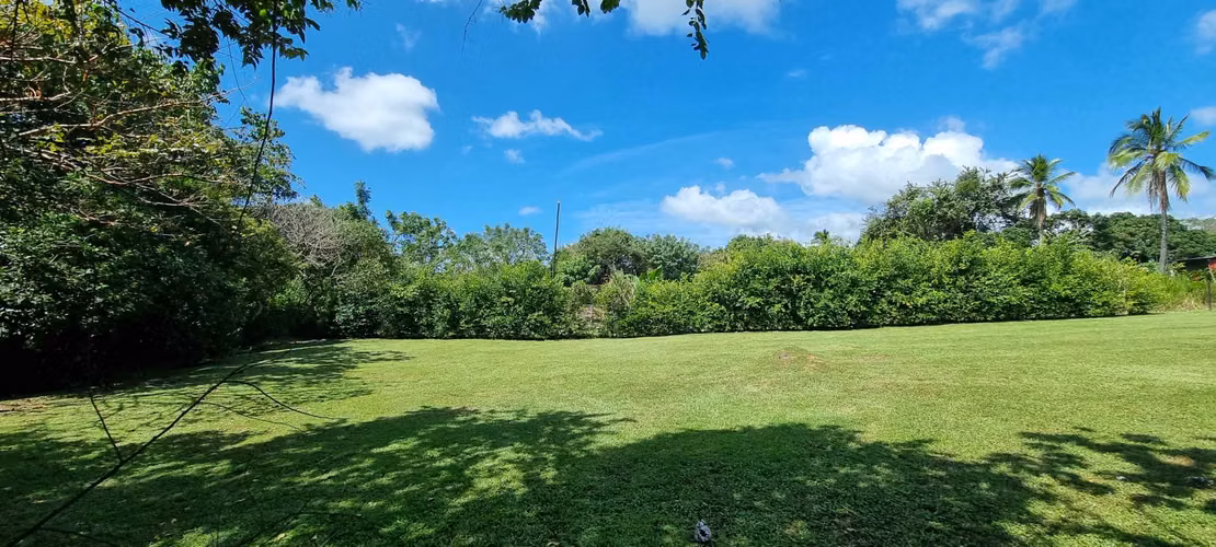 SALE OF LAND IN SAN CARLOS