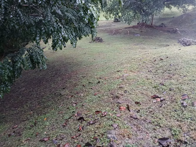 LOTE DE 1,267.35 MTS EN VALLE LOSLIRIOS, CAMINO AL VALLE