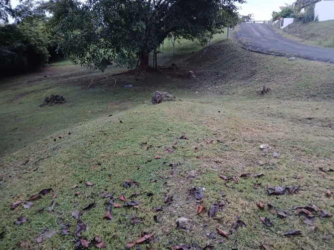 LOTE DE 1,267.35 MTS EN VALLE LOSLIRIOS, CAMINO AL VALLE