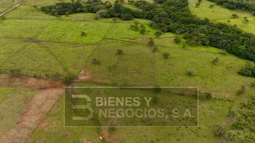 Finca en Chiriqui, San Lorenzo 34 hectareas