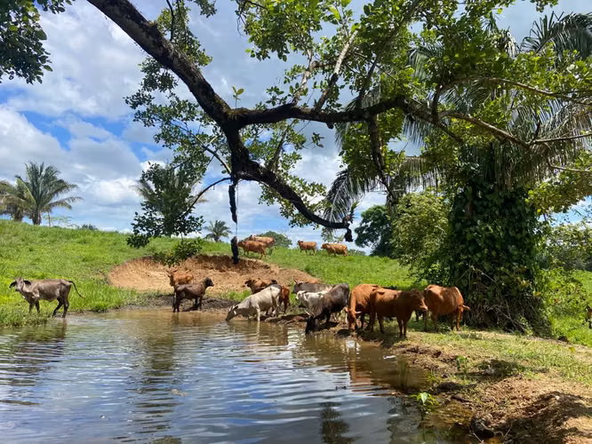 Venta de Finca en Mariato, Veraguas, 111 hectáreas