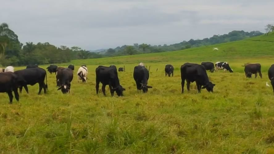 Venta de Finca en Mariato, Veraguas, 111 hectáreas