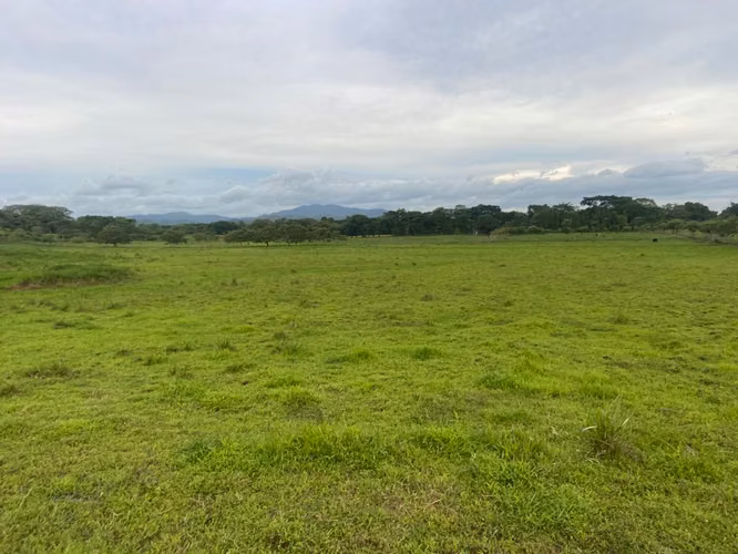 Venta de Finca en Mariato, Veraguas, 111 hectáreas