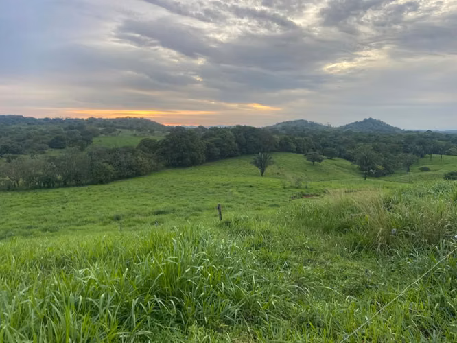 Venta de Finca en Mariato, Veraguas, 111 hectáreas