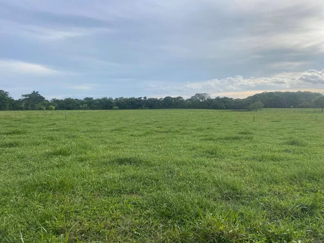 Venta de Finca en Mariato, Veraguas, 111 hectáreas