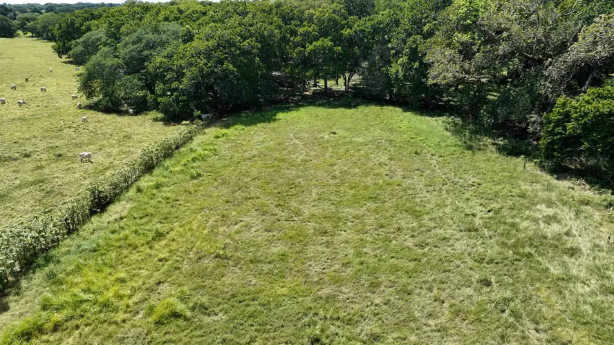 VENDO TERRENO 5,0590 HTS LAS TABLAS $1.5MM