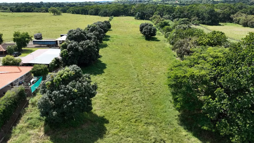 VENDO TERRENO 5,0590 HTS LAS TABLAS $1.5MM