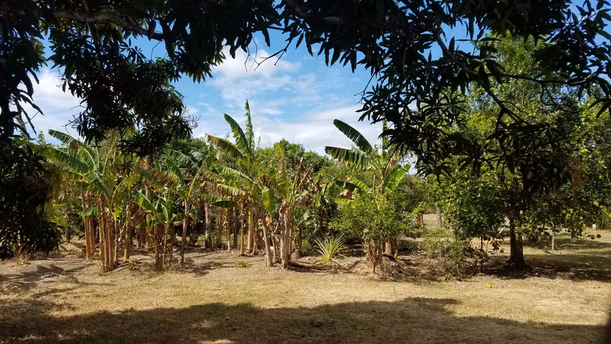 Lote de 1.4 hectáreas con casa de campo en Río Hato
