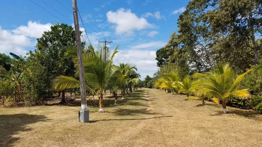 Lote de 1.4 hectáreas con casa de campo en Río Hato