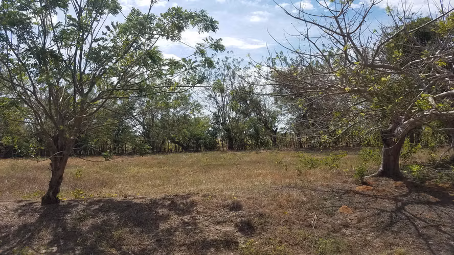 Lote de 1.3 hectareas en Rio Hato, Panamá