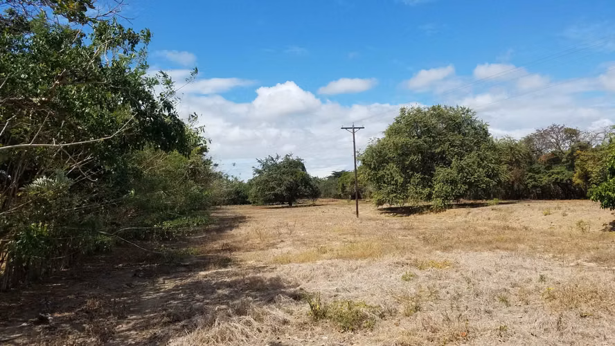 Lote de 1.3 hectareas en Rio Hato, Panamá