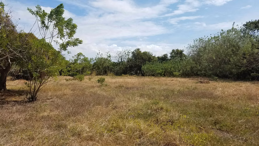 Lote de 1.3 hectareas en Rio Hato, Panamá