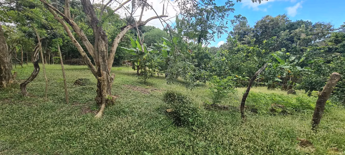 VENDO TERRENO. LOS POZOS. LAS LAJAS. MONTAÑA. CORONADO.