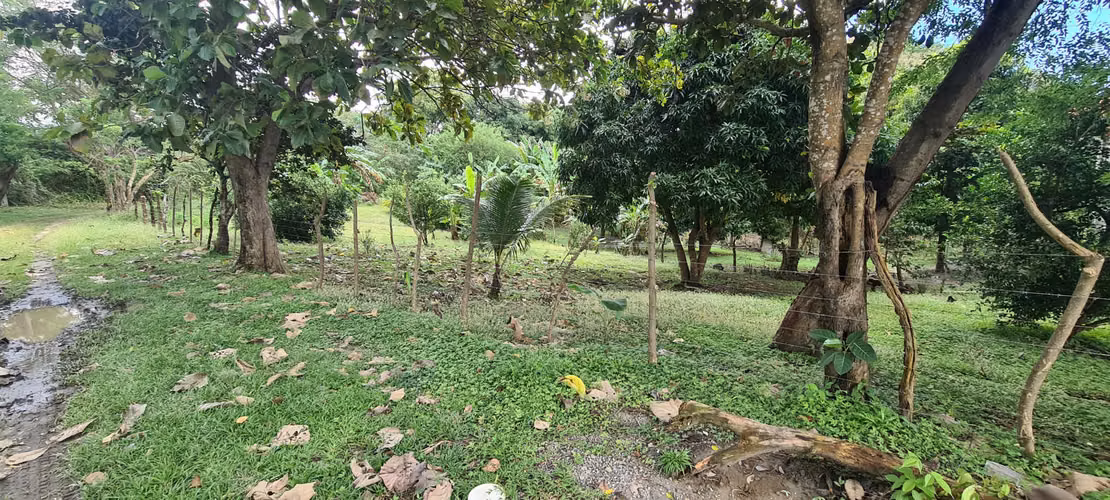 VENDO TERRENO. LOS POZOS. LAS LAJAS. MONTAÑA. CORONADO.