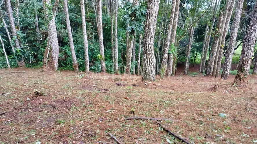 Oportunidad! Se Vende Terreno de Esquina Zona Alta - Altos del Maria - Imagen 7