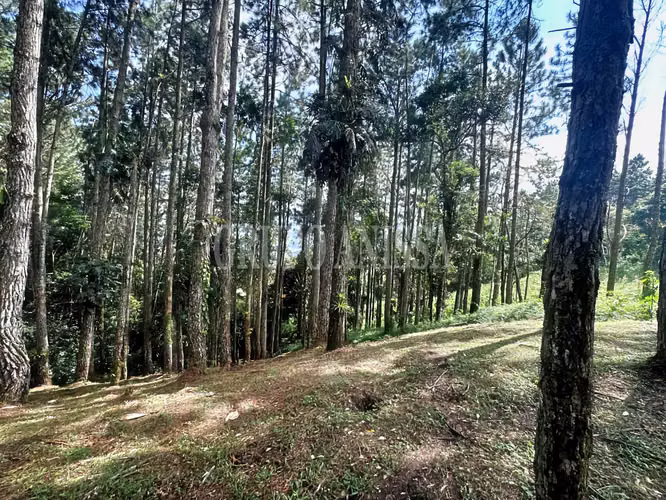 Oportunidad! Se Vende Terreno de Esquina Zona Alta - Altos del Maria - Imagen 5