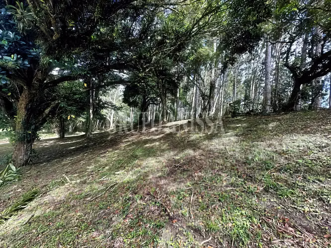 Oportunidad! Se Vende Terreno de Esquina Zona Alta - Altos del Maria - Imagen 4