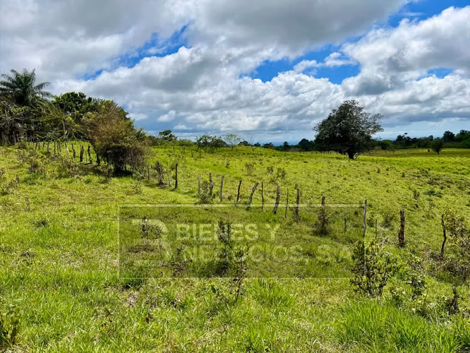 Finca en Chiriqui, Boqueron, 17.1 hectáreas en Bocalatun