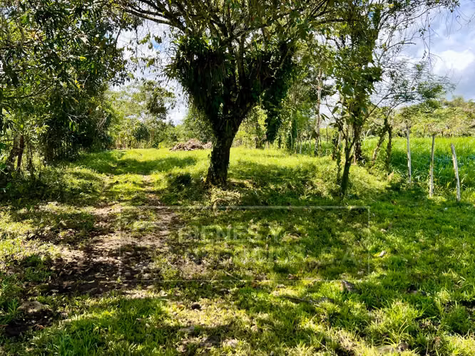 Finca en Chiriqui, Boqueron, 17.1 hectáreas en Bocalatun