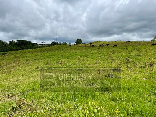 Finca en Chiriqui, Boqueron, 17.1 hectáreas en Bocalatun