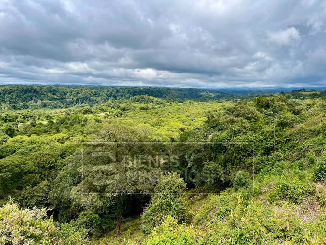 Finca en Chiriqui, Boqueron, 17.1 hectáreas en Bocalatun