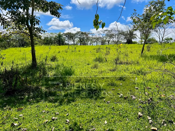 Finca en Chiriqui, Boqueron, 17.1 hectáreas en Bocalatun