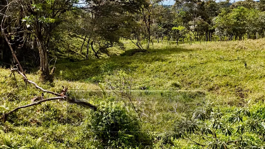 Finca en Chiriqui, Boqueron , 6.5 hectáreas en Cordillera