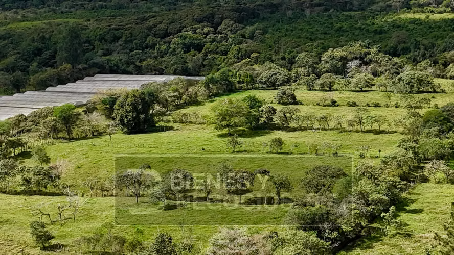 Finca en Chiriqui, Boqueron , 6.5 hectáreas en Cordillera