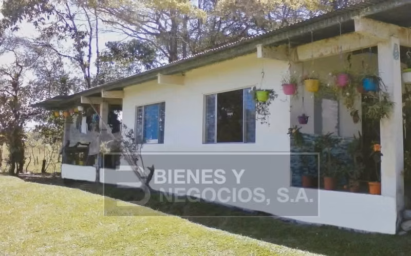 Finca en Chiriqui, Boqueron , 6.5 hectáreas en Cordillera