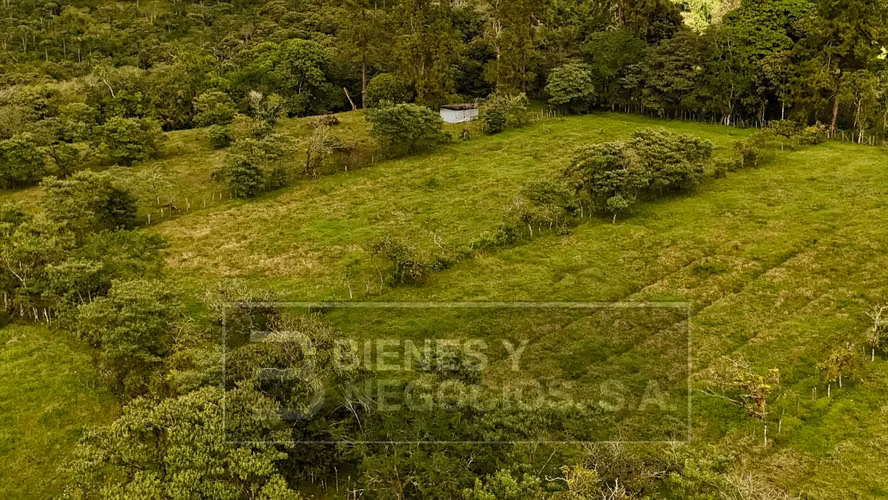 Finca en Chiriqui, Boqueron , 6.5 hectáreas en Cordillera