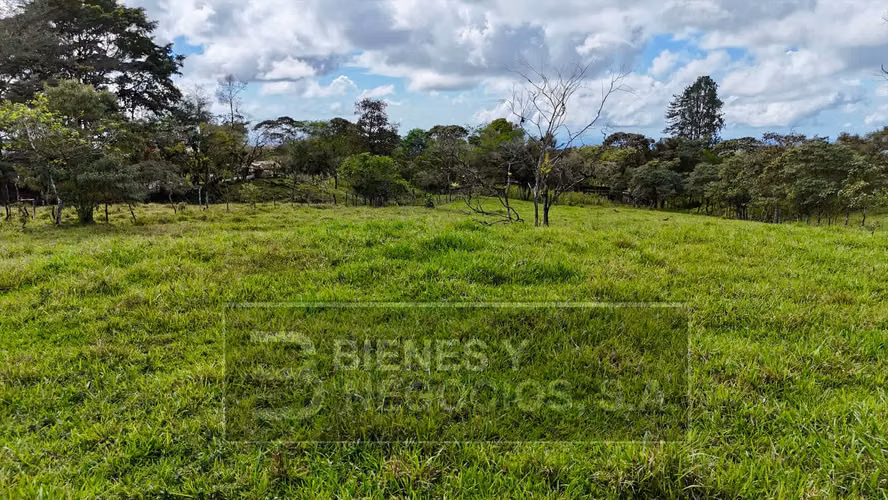 Finca en Chiriqui, Boqueron , 6.5 hectáreas en Cordillera