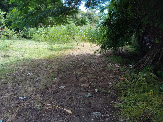 VENDO Terreno en la entrada de Divisa