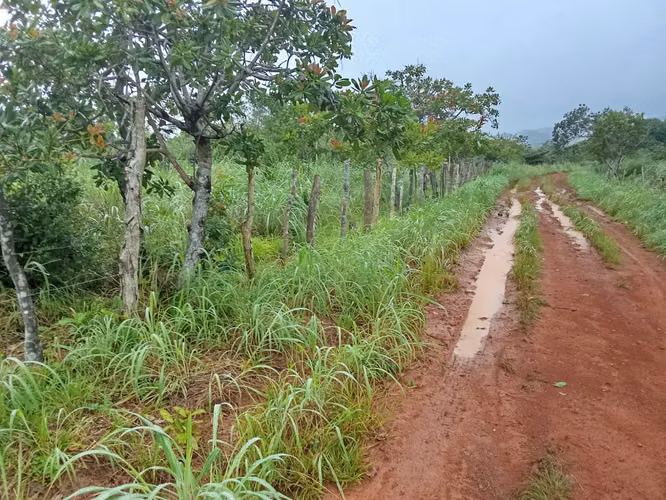 Venta de Finca en Ola, Coclé, 40 Hectáreas - Imagen 3