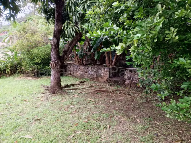Venta de Casa con 559 m2 de Terreno en Miraflores, Betania 25-5424GG
