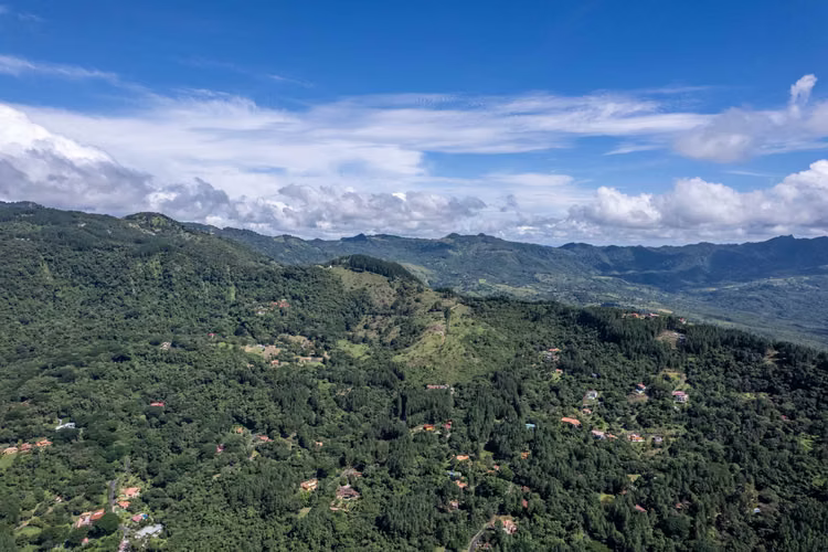 Venta de Terreno de 22 Hectáreas en Altos del María, Panamá - Imagen 3