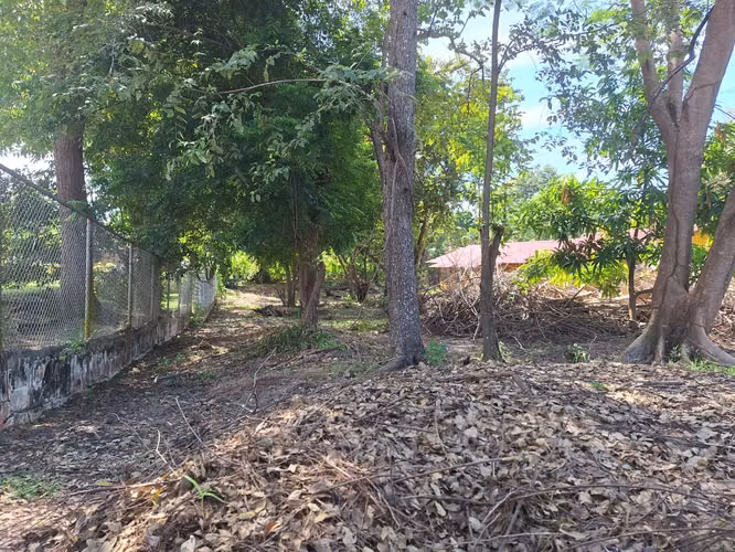 Terreno de 1,000 m² en Coronado – Playa y Servicios Cercanos