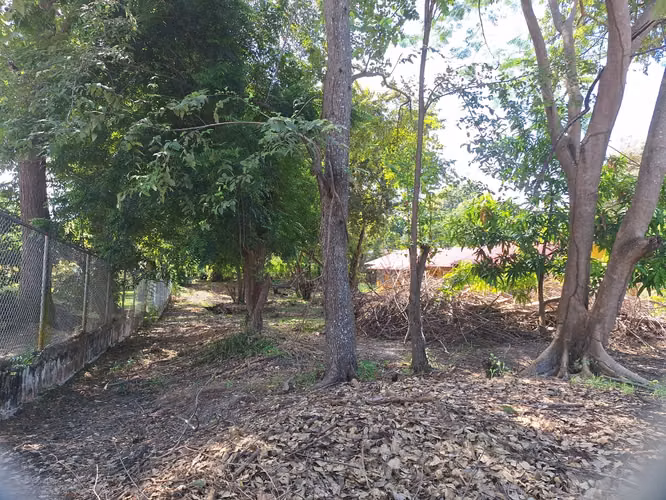 Terreno de 1,000 m² en Coronado – Playa y Servicios Cercanos