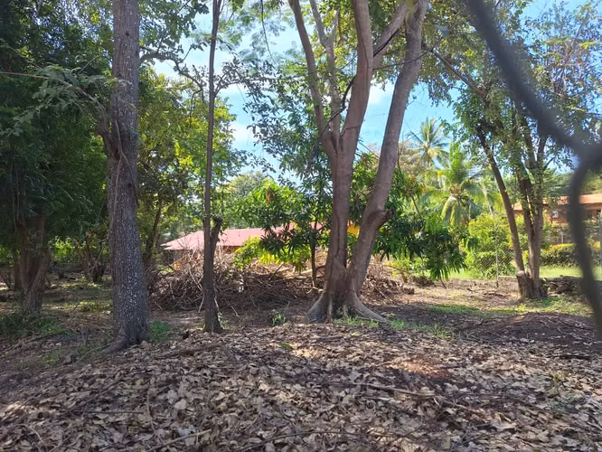 Terreno de 1,000 m² en Coronado – Playa y Servicios Cercanos
