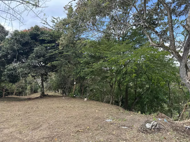 Se Vende Terreno de 8.5 hectaresas en Chivo Chivo, Las Cumbres