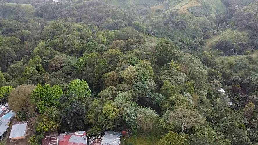 Se Vende Terreno de 8.5 hectaresas en Chivo Chivo, Las Cumbres