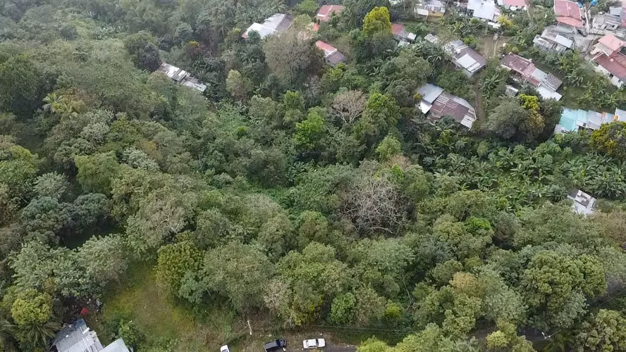Se Vende Terreno de 8.5 hectaresas en Chivo Chivo, Las Cumbres