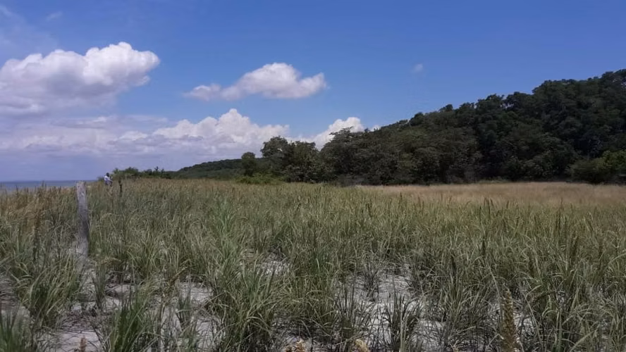 Venta de Finca en Los Azules de Antón, 106 Hectáreas