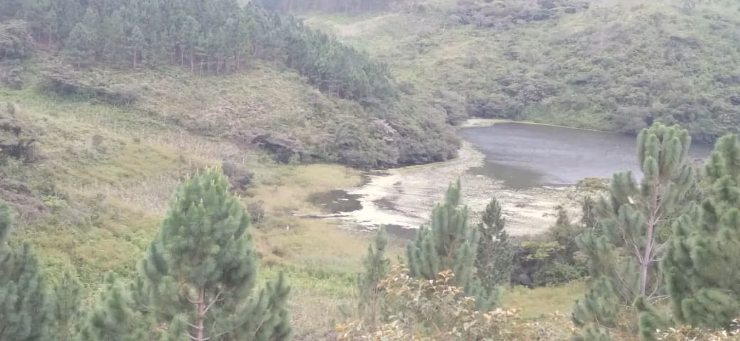 Venta de Finca en La Yeguada, 55 Hectáreas