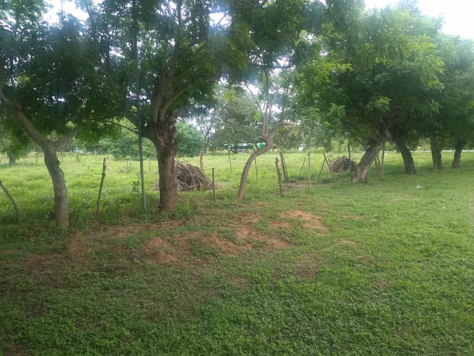 Venta de Finca en Rio Grande, 200 Hectáreas - Imagen 2