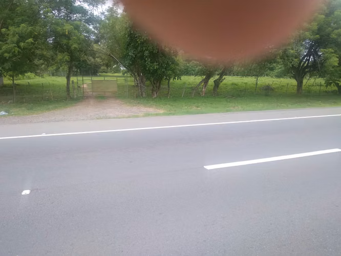Venta de Finca en Rio Grande, 200 Hectáreas - Imagen 15