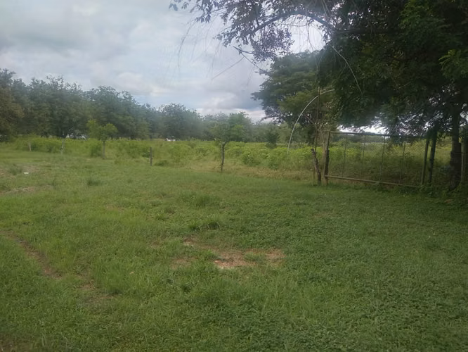 Venta de Finca en Rio Grande, 200 Hectáreas - Imagen 5