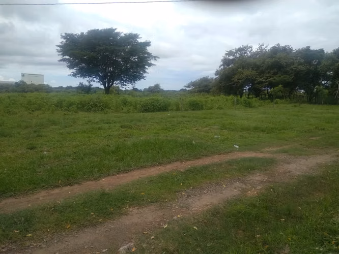 Venta de Finca en Rio Grande, 200 Hectáreas - Imagen 7