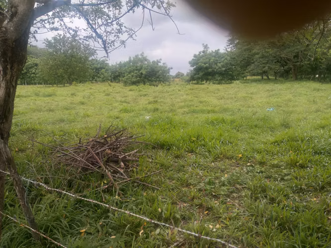Venta de Finca en Rio Grande, 200 Hectáreas - Imagen 3