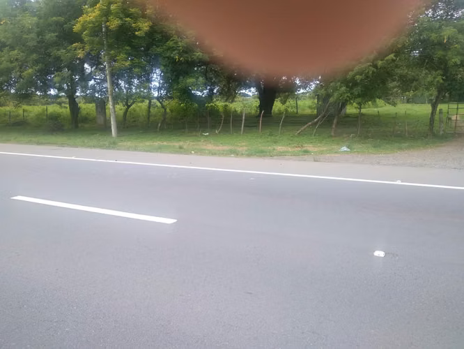 Venta de Finca en Rio Grande, 200 Hectáreas - Imagen 17