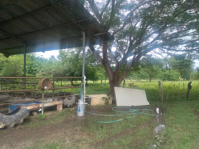 Venta de Finca en Rio Grande, 200 Hectáreas - Imagen 18